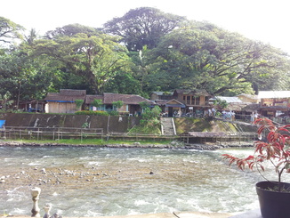 thumb_2011-Sumatra_470.jpg