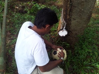 thumb_2011-Sumatra_473.jpg