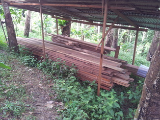 thumb_2011-Sumatra_475.jpg