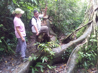 thumb_2011-Sumatra_483.jpg