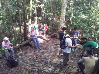 thumb_2011-Sumatra_486.jpg