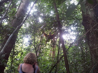 thumb_2011-Sumatra_497.jpg
