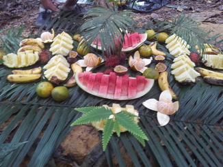 thumb_2011-Sumatra_516.jpg