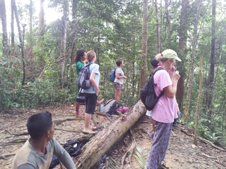 thumb_2011-Sumatra_520.jpg