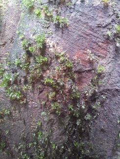 thumb_2011-Sumatra_524.jpg