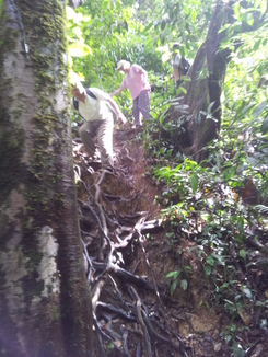 thumb_2011-Sumatra_525.jpg