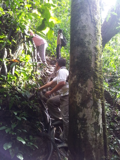 thumb_2011-Sumatra_526.jpg