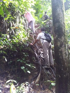 thumb_2011-Sumatra_527.jpg
