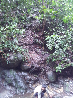 thumb_2011-Sumatra_532.jpg