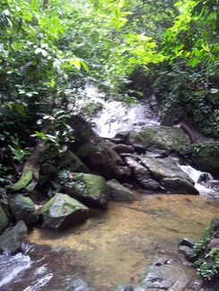 thumb_2011-Sumatra_533.jpg