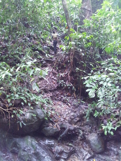 thumb_2011-Sumatra_534.jpg