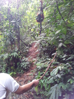 thumb_2011-Sumatra_537.jpg