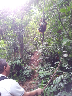 thumb_2011-Sumatra_538.jpg