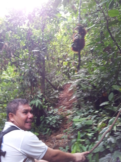 thumb_2011-Sumatra_539.jpg