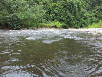 thumb_2011-Sumatra_549.jpg