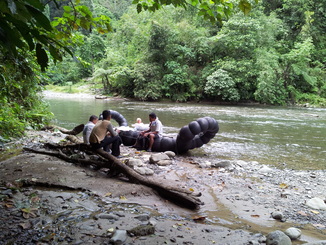 thumb_2011-Sumatra_551.jpg