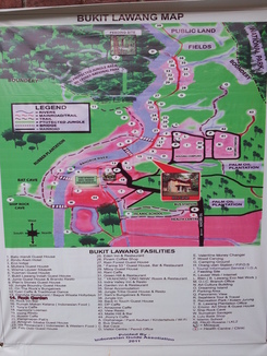 thumb_bukit_lewang_to_UK_003.jpg