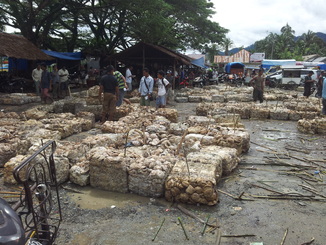 thumb_bukit_lewang_to_UK_022.jpg