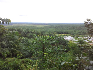 thumb_bukit_lewang_to_UK_026.jpg