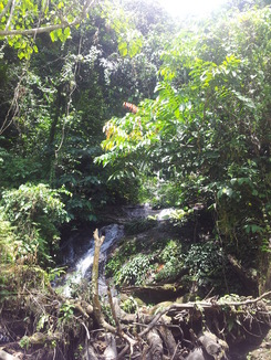thumb_bukit_lewang_to_UK_035.jpg