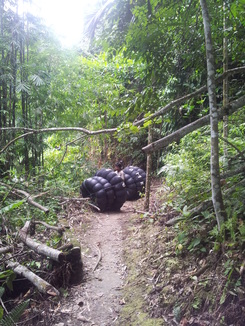 thumb_bukit_lewang_to_UK_037.jpg