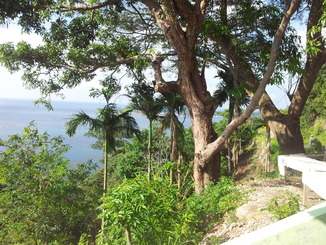 thumb_bukit_lewang_to_UK_066.jpg
