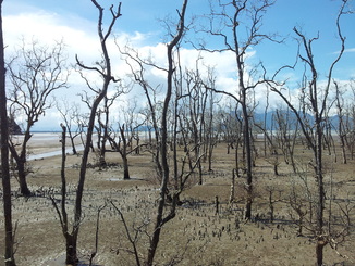 thumb_bukit_lewang_to_UK_124.jpg