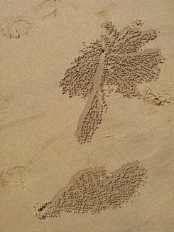 thumb_bukit_lewang_to_UK_131.jpg
