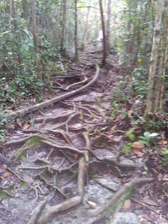 thumb_bukit_lewang_to_UK_143.jpg