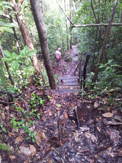 thumb_bukit_lewang_to_UK_160.jpg