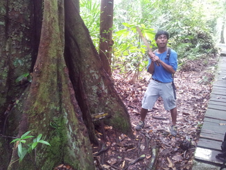 thumb_bukit_lewang_to_UK_167.jpg