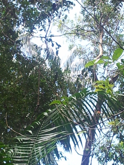 thumb_bukit_lewang_to_UK_174.jpg