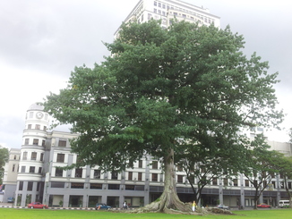 thumb_bukit_lewang_to_UK_192.jpg