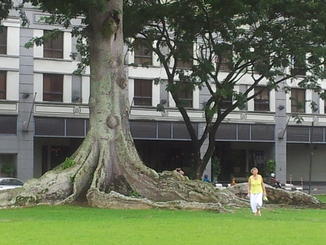 thumb_bukit_lewang_to_UK_193.jpg