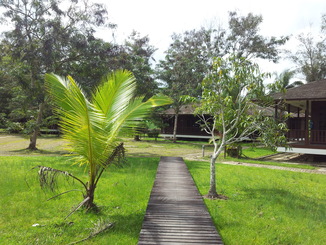 thumb_bukit_lewang_to_UK_219.jpg
