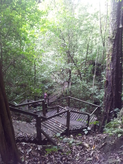 thumb_bukit_lewang_to_UK_247.jpg