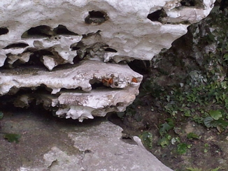 thumb_bukit_lewang_to_UK_270.jpg