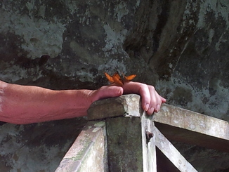 thumb_bukit_lewang_to_UK_282.jpg
