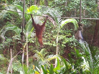 thumb_bukit_lewang_to_UK_296.jpg