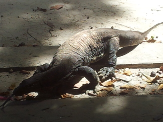 thumb_bukit_lewang_to_UK_358.jpg