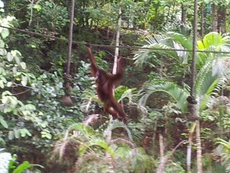 thumb_bukit_lewang_to_UK_359.jpg