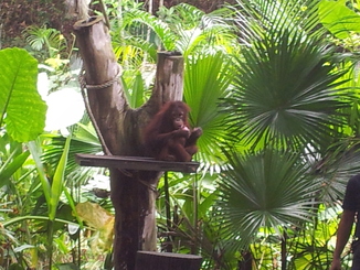 thumb_bukit_lewang_to_UK_365.jpg
