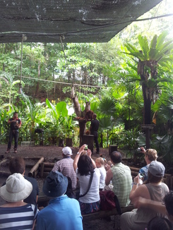thumb_bukit_lewang_to_UK_394.jpg