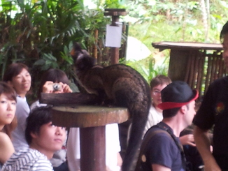 thumb_bukit_lewang_to_UK_399.jpg