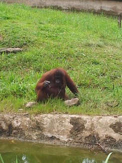 thumb_bukit_lewang_to_UK_409.jpg