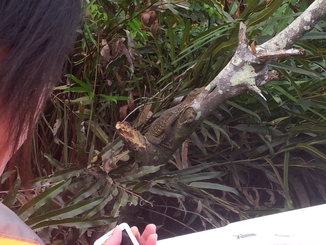 thumb_bukit_lewang_to_UK_410.jpg