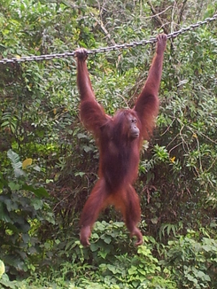 thumb_bukit_lewang_to_UK_412.jpg