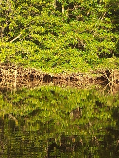 thumb_bukit_lewang_to_UK_417.jpg