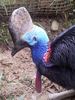 thumb_bukit_lewang_to_UK_429.jpg