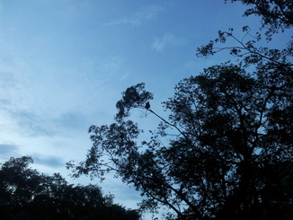thumb_bukit_lewang_to_UK_439.jpg